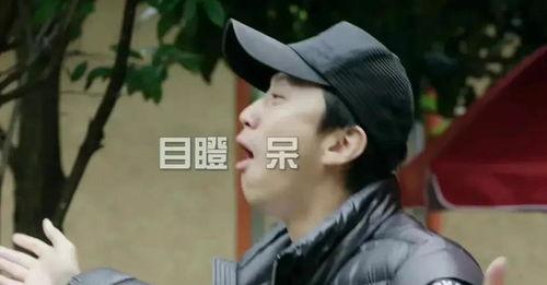 娱乐圈小说吃瓜爆料爽文超长,吃瓜爆料，爽文超长，揭秘明星背后的秘密风云  第3张